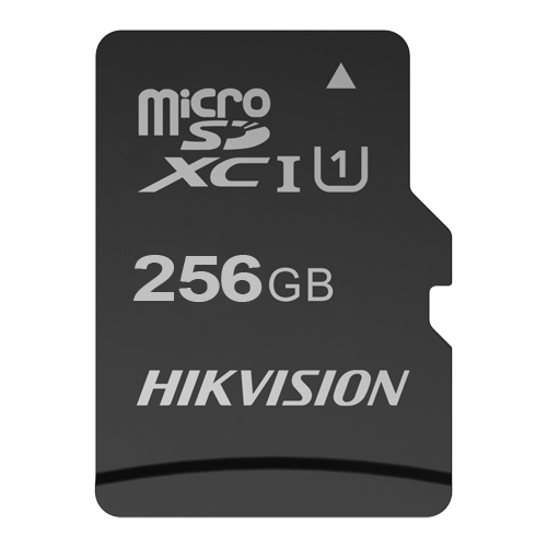 HS-TF-C1STD-256G.png